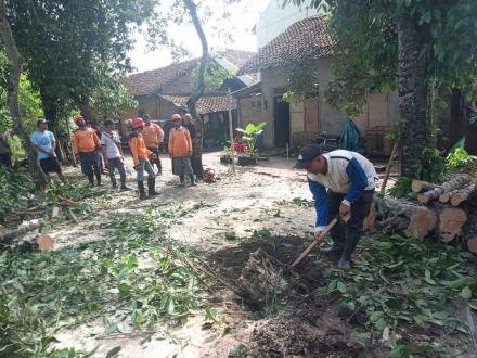 Penanganan Pohon Tumbang Oleh FPRB Argomulyo Di Dusun Pedes